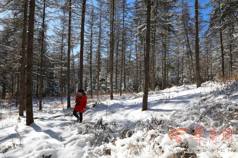 黄牛受惊疯跑进山 无人机搜寻精准定位